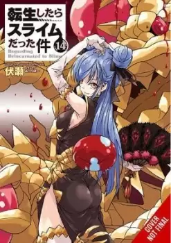 Image of That Time I Got Reincarnated as a Slime, Vol. 14 (light novel) by Fuse