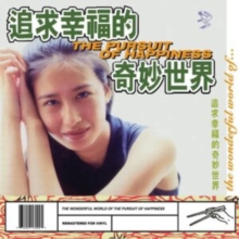 Image of The wonderful world of the pursuit of happiness Vinyl