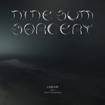 Image of LABOUR feat. Hani Mojtahedy - Nine-Sum Sorcery Vinyl