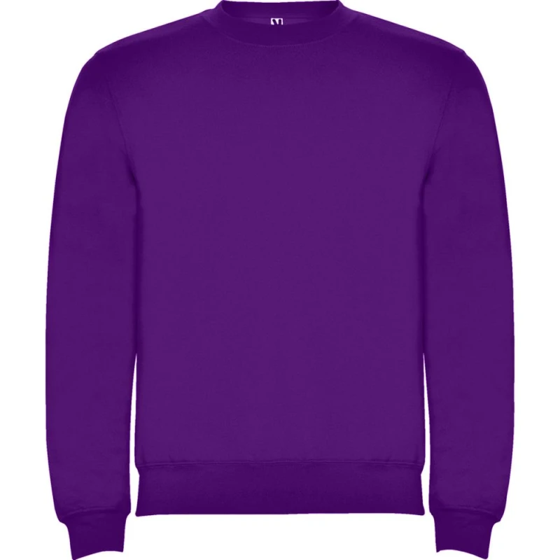 Image of Roly Clasica boys's Children's sweatshirt in Purple