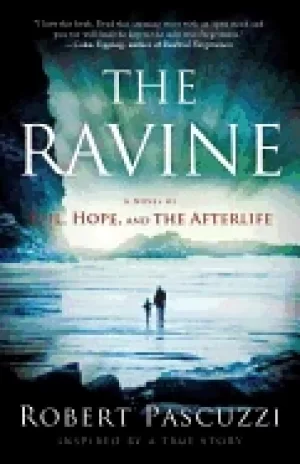 Image of ravine a novel of evil hope and the afterlife