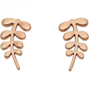 Image of Ladies Orla Kiely Rose Gold Plated Leaf Studs