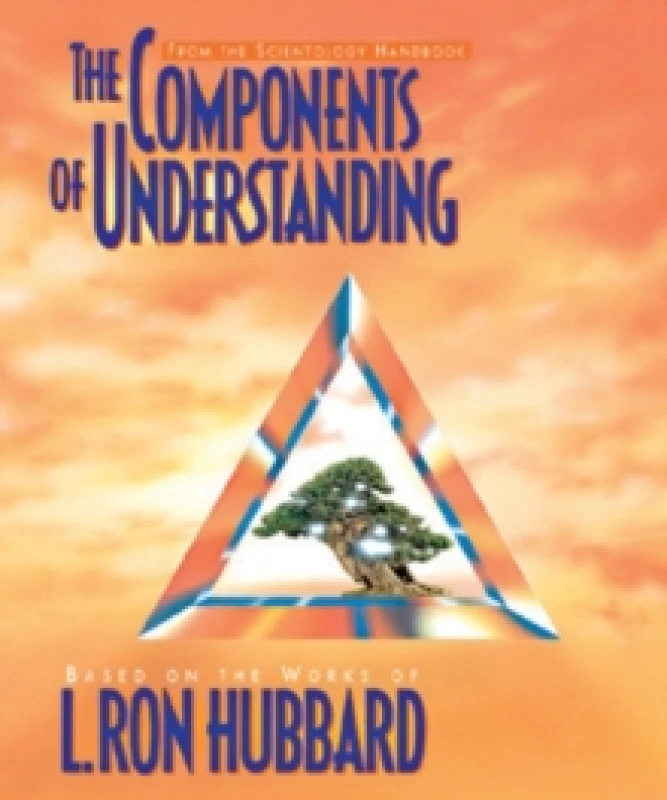 Image of The Components of Understanding Pamphlet