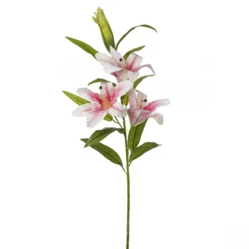 Image of Pale Pink Lily Stem 3 Flowers