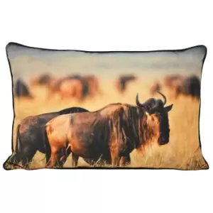 Image of Riva Home Wildebeest Cushion Cover (40x60cm) (Tan)