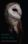Image of shadow of the owl