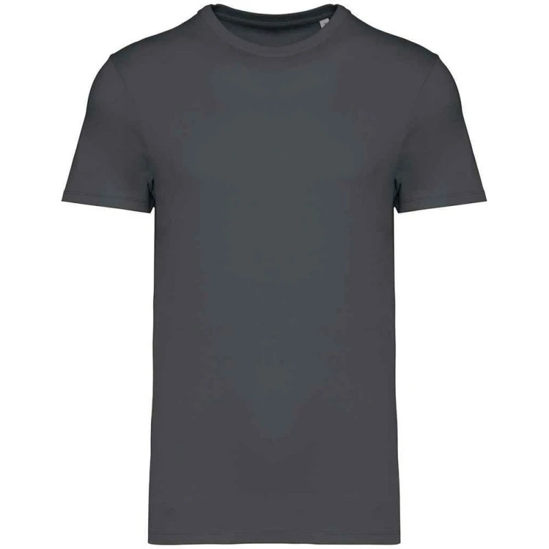 Image of Native Spirit Mens Heavyweight Slim T-Shirt in Grey Size: XS Grey Male XS