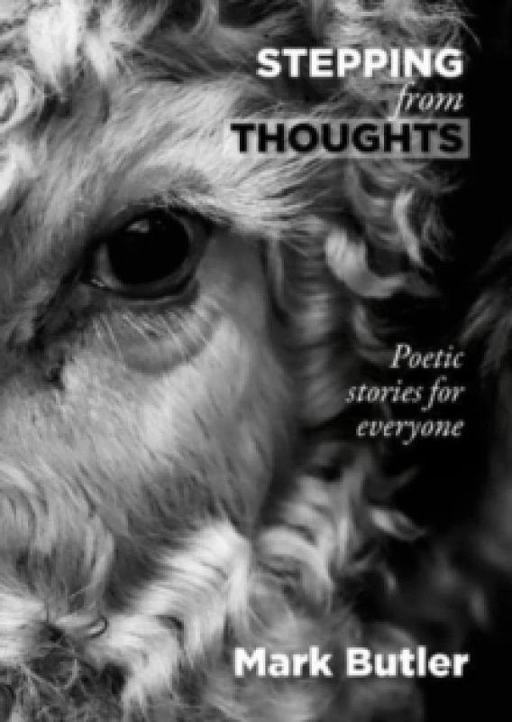 Image of Stepping from Thoughts : Poetic stories for everyone Hardback