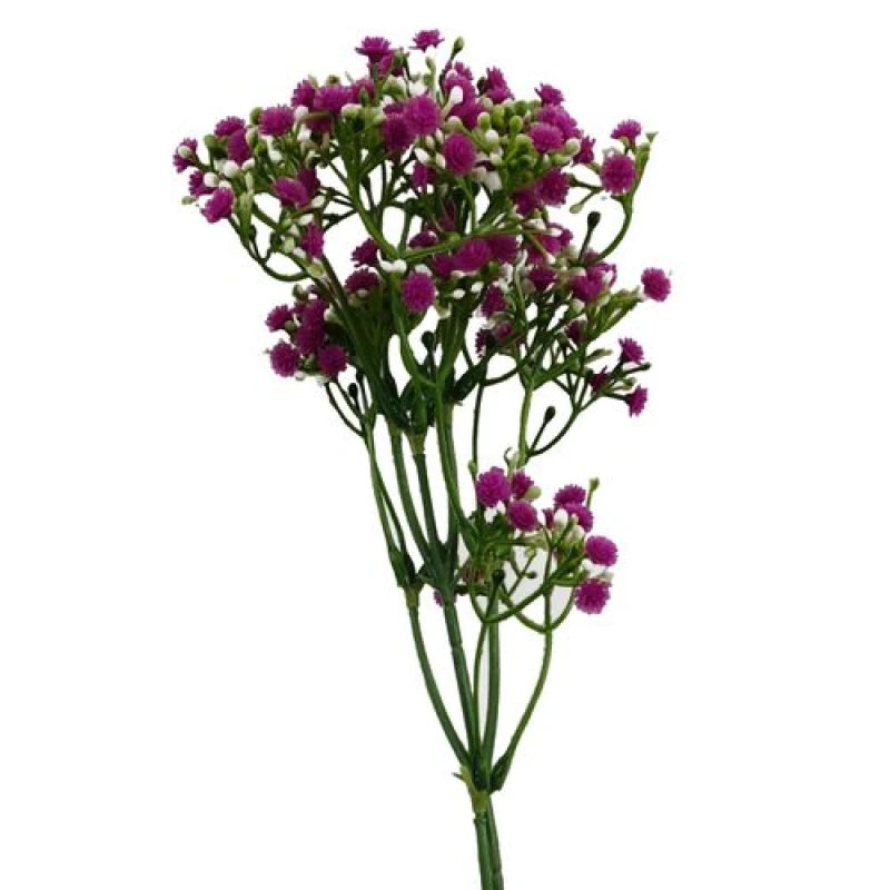 Image of Leaf 55cm Gypsophila Pink Stem