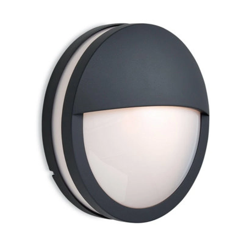 Image of Luminosa Lighting Luminosa Zenith 1 Light Wall/flush Ceiling Pendant Light Graphite, Opal Diffuser Ip54, E27