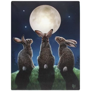 Image of Small Moon Shadows Canvas Picutre by Lisa Parker