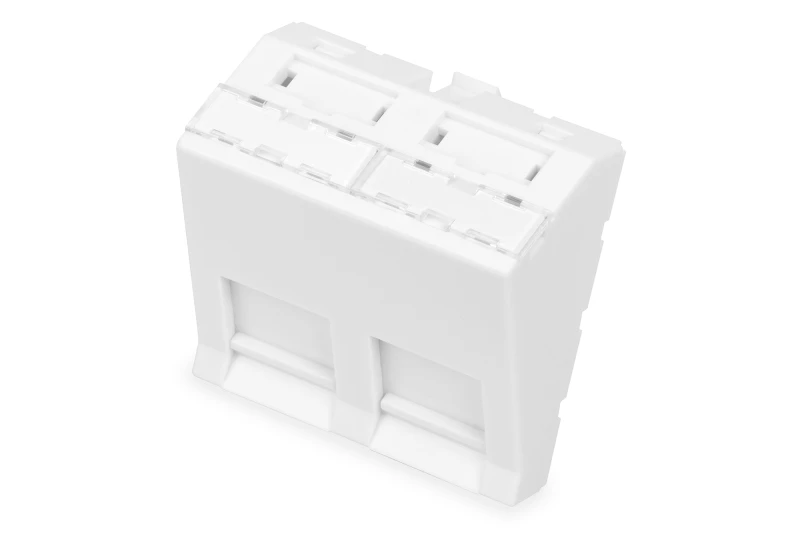 Image of Digitus Front panel. 2-port. 45 x 45 mm. angled. for frame DN-93802-5-