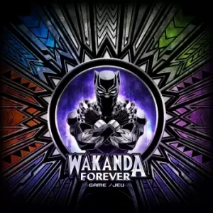 Image of Marvel Wakanda Forever Dice Rolling Game
