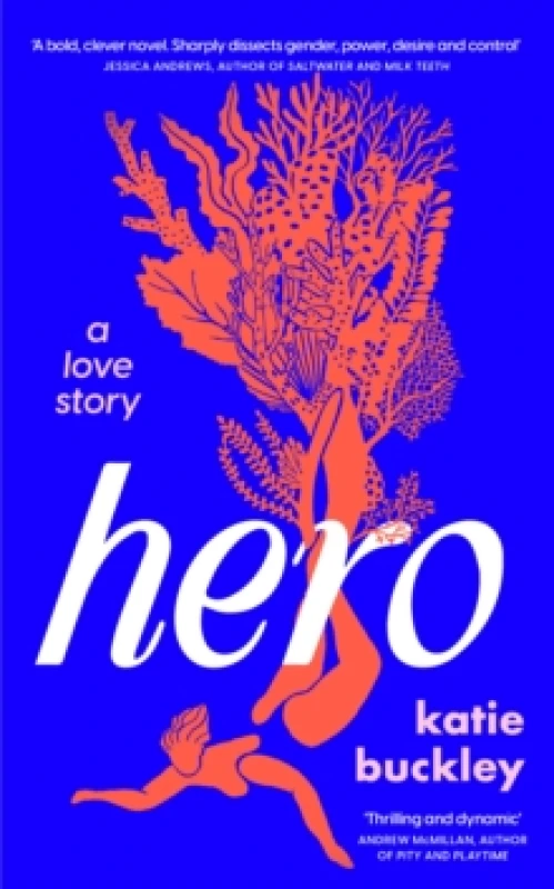 Image of Hero. Hardback. By Katie Buckley Books