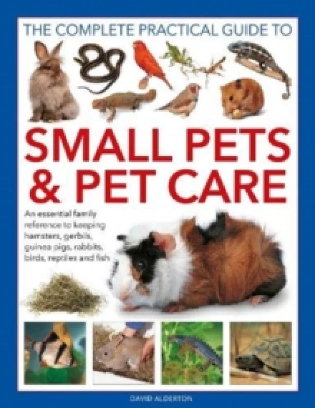 Image of Small Pets and Pet Care, The Complete Practical Guide to : An essential family reference to keeping hamsters, gerbils, guinea pigs, rabbits, birds, re