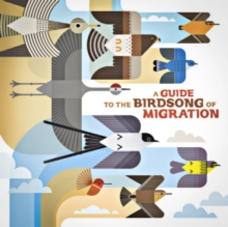Image of A Guide to the Birdsong of Migration Vinyl