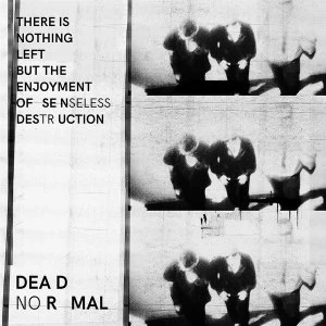 Image of Dead Normal - There Is Nothing Left But The Enjoyment Of Senseless Destruction Vinyl