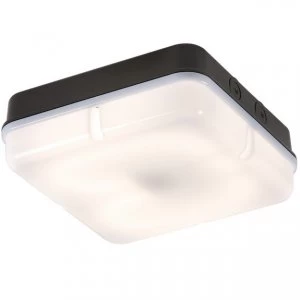Image of Emergency Bulkhead with Opal Diffuser and Black Base, IP65 28W Square