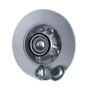 Image of Bosch Brake disc PEUGEOT,CITROEN,DS 0 986 479 400 424965,424966,424965 Brake rotor,Brake discs,Brake rotors 424966