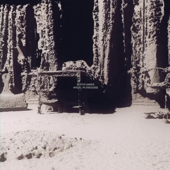 Image of Leifur James - Angel In Disguise Vinyl