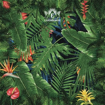 Image of Earthboogie - Human Call Vinyl