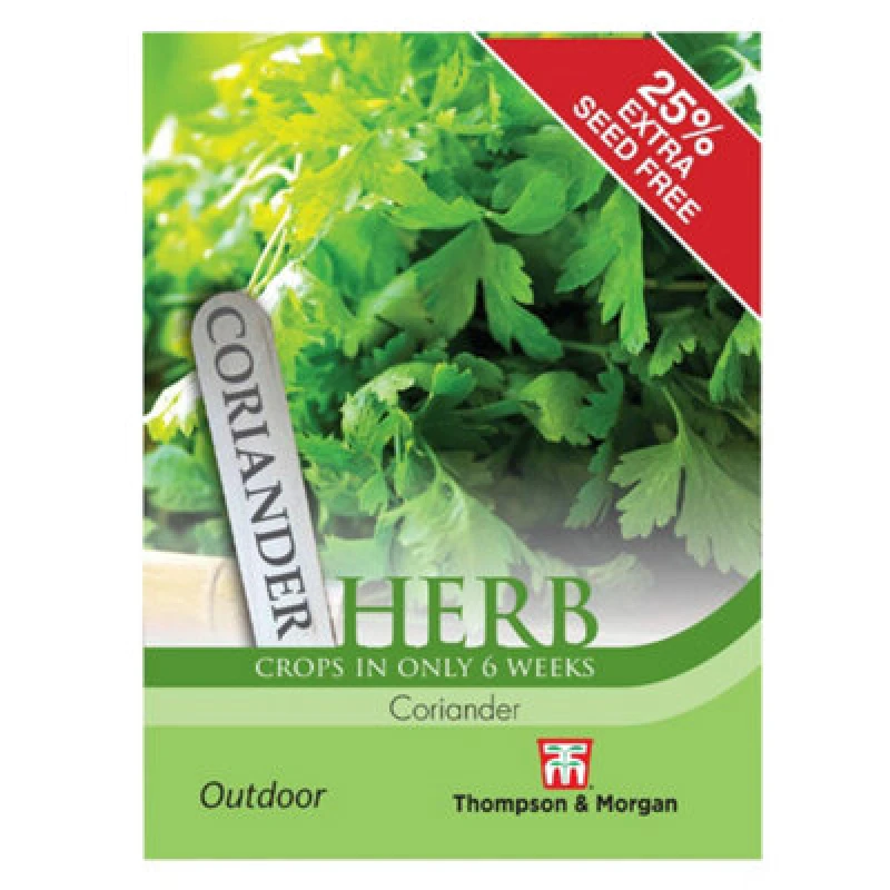 Image of Thompson & Morgan Herb Coriander 1 Seed Packet (150 Seeds)