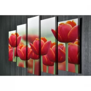 Image of BC018 Multicolor Decorative Canvas Painting (5 Pieces)