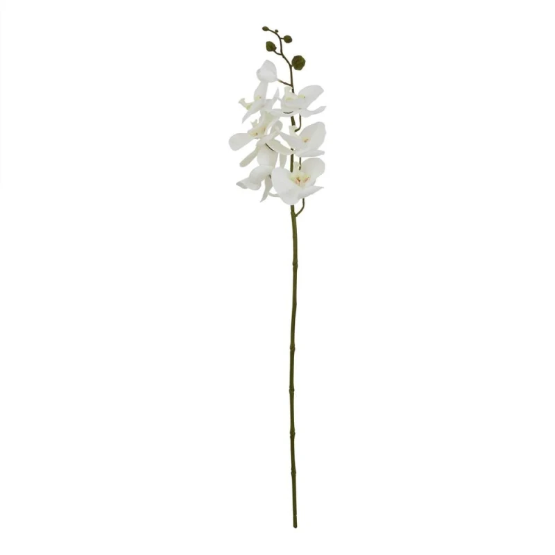 Image of Large White Butterfly Orchid Stem