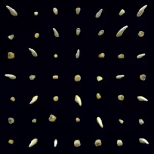 Image of Visions of Bodies Being Burned by clipping. CD Album