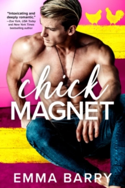 Image of Chick Magnet Paperback / softback