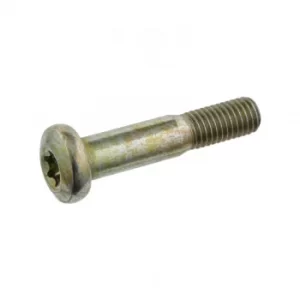 Image of Suspension Arm Pinch Bolt Screw 24391 by Febi Bilstein