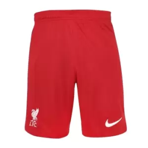 Image of 2022-2023 Liverpool Home Shorts (Red) - Kids