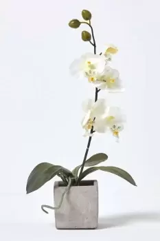 Image of Artificial Orchid Flowers in Pot for Indoor & Outdoor Decoration