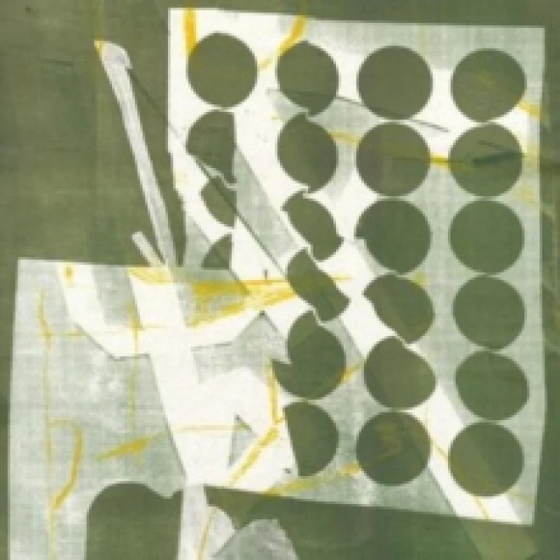 Image of To have several lives Vinyl