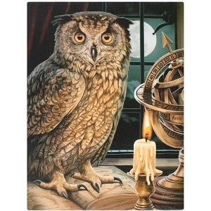 Image of Small The Astrologer Canvas Picture by Lisa Parker