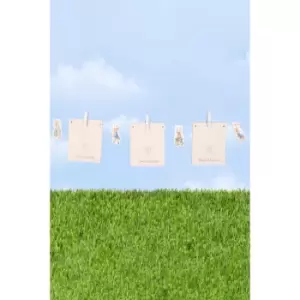 Image of Peter Rabbit Photo Banner