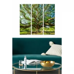 Image of MDF283263380 Multicolor Decorative MDF Painting (3 Pieces)