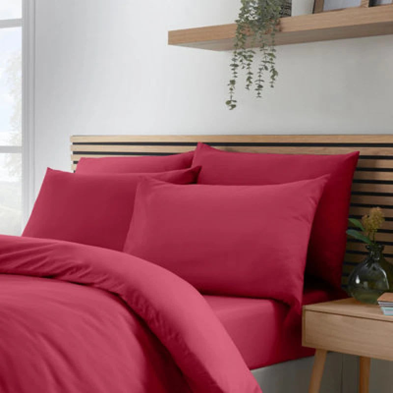 Image of Catherine Lansfield 'So Soft Easy Iron' Standard Pillowcase Pack of 4 Bright Pink