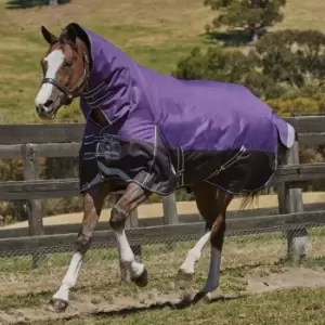 Image of Weatherbeeta ComFiTec Plus Dynamic Combo Med Lite Turnout - Purple
