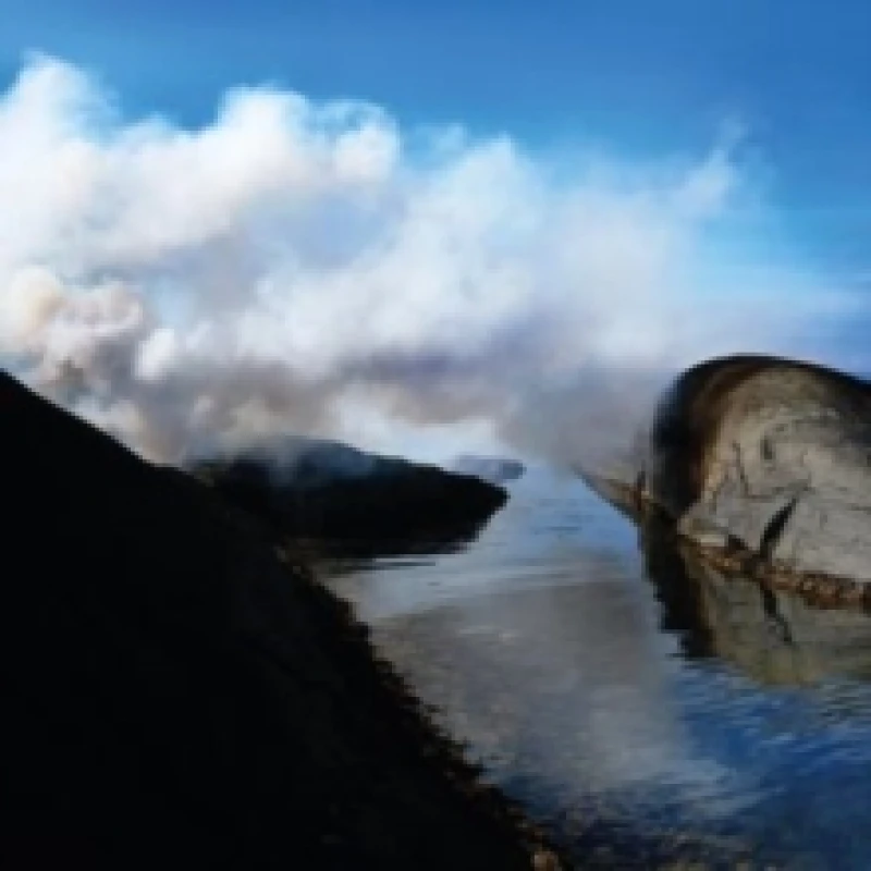 Image of E-numbers Vinyl