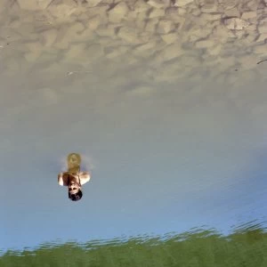 Image of Nadine - Oh My Vinyl