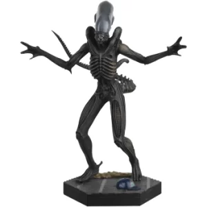 Image of Eaglemoss Xenomorph Drone (Alien) Figurine