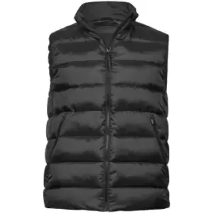 Image of Tee Jays Mens Lite Gilet (M) (Black)