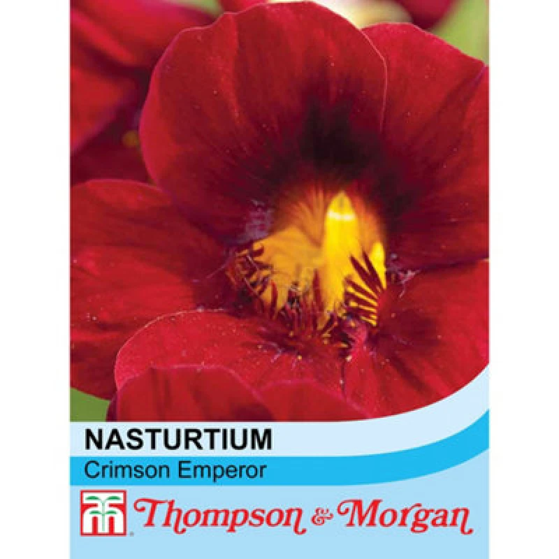 Image of Thompson & Morgan Nasturtium Crimson Emperor 1 Seed Packet (30 Seeds)