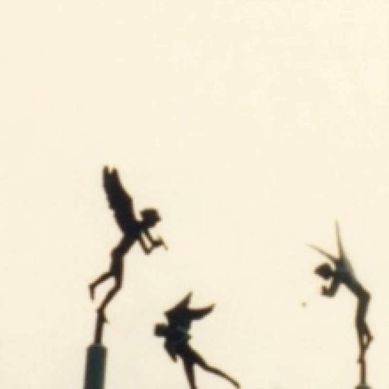 Image of No Hashish, No Change Money, No Saki Saki Vinyl