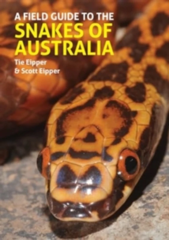 Image of A Field Guide to the Snakes of Australia Hardback