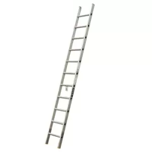 Image of TB Davies 3.0M Professional Single Ladder