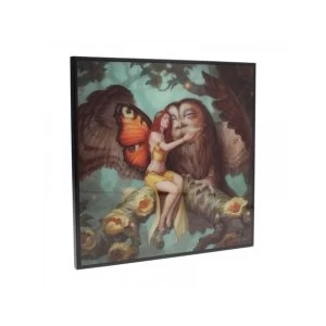 Image of Fairy and Owl Small Crystal Clear Picture