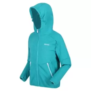 Image of Regatta Maxwell Softshell Jacket - Enamel