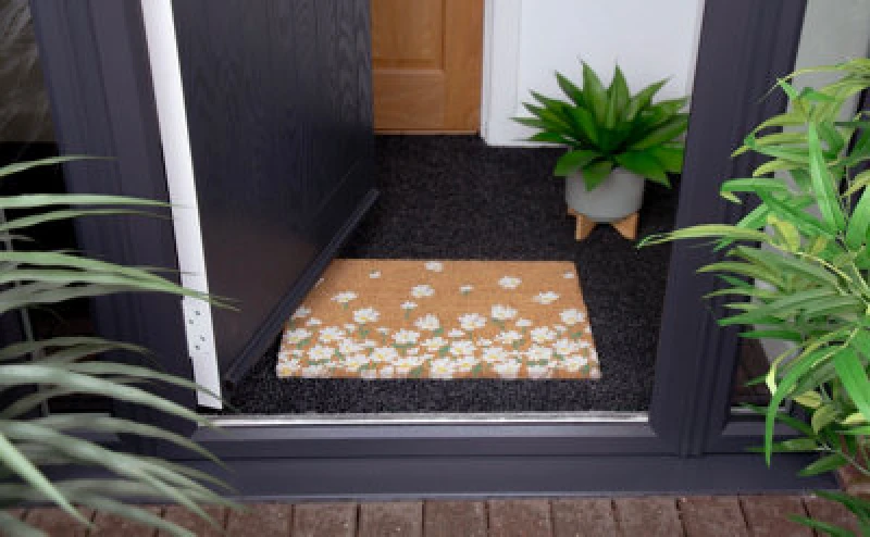 Image of Arthouse Astley Daisy Printed Neutral Doormat 40X60Cm